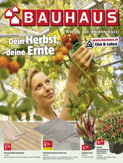 Bauhaus Katalog in Buchs | Bauhaus reklamblad - DE | 26.8.2024 - 29.9.2024