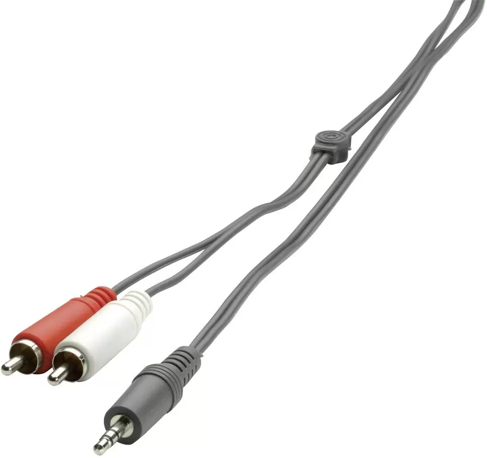 SpeaKa Professional SP-1300360 Cinch / Klinke Audio Anschlusskabel [2x Cinch-Stecker - 1x Klinkenstecker 3.5 mm] 2.00 m für 2,54 CHF in Conrad