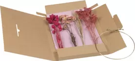 DIY Letterbox natural/pink für 9,95 CHF in Do it + Garden