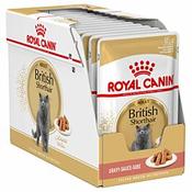 Royal Canin                                                                  Katze British Shorthair 12x85g für 27,6 CHF in Qualipet