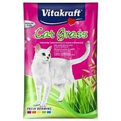 Vitakraft Cat Katzengras Samen Nachfüllbeutel 50g für 1,35 CHF in Qualipet