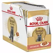 Royal Canin Katze British Shorthair 12x85g für 27,6 CHF in Qualipet