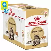 Royal Canin Katze Mainecoon 12x85g für 27,6 CHF in Qualipet