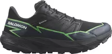 Salomon · Thundercross GORE-TEX Trailrunningschuhe für 95 CHF in Intersport