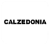 Informationen und Öffnungszeiten der Calzedonia Thun Filiale in Bälliz 40 